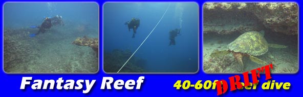 drift diving in Hawaii - Fantasy reef